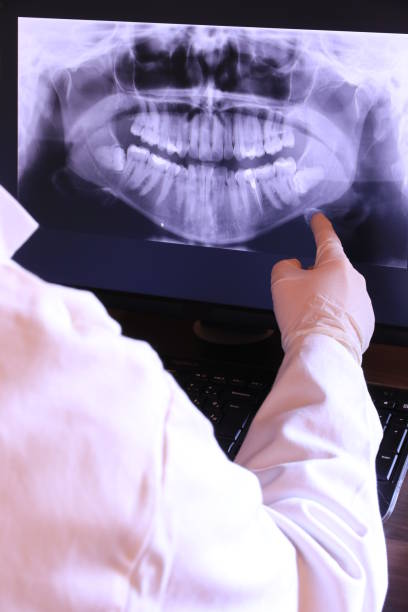 Best Emergency X-Rays and Diagnostics in Saegertown, PA